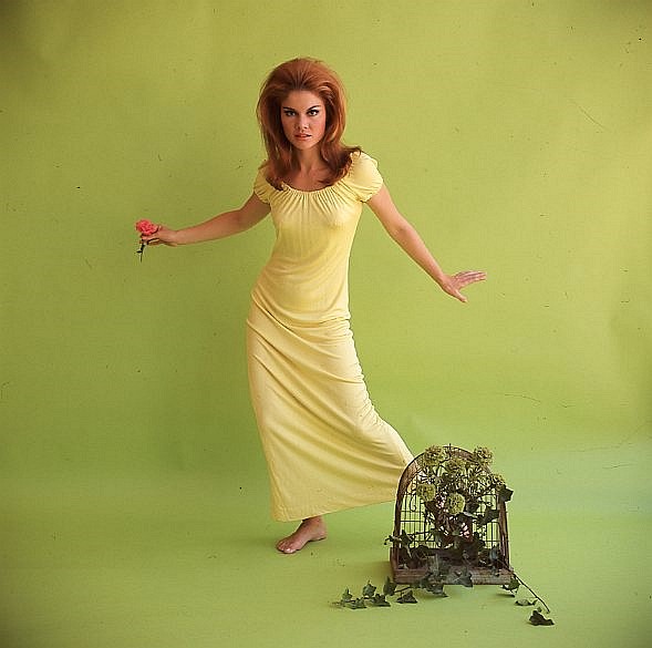 Rankin/Basshistorian Wende Wagner