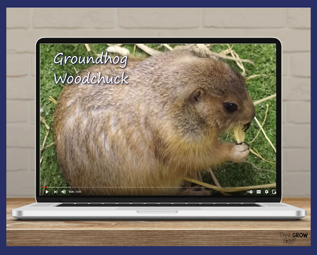 history of groundhog day
