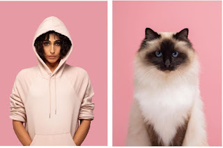 Un fotógrafo compara retratos de gatos y humanos