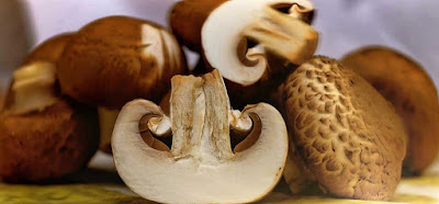 mushrooms-immunity-boosting-foods-for-adults-children