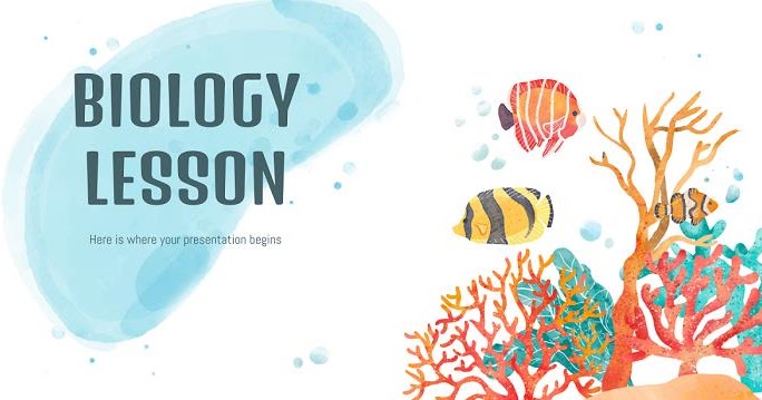 Kunci Jawaban Biologi Kelas 12 Kurikulum 2013 Beserta Jawaban Pilihan Ganda Part2 Bank Soal