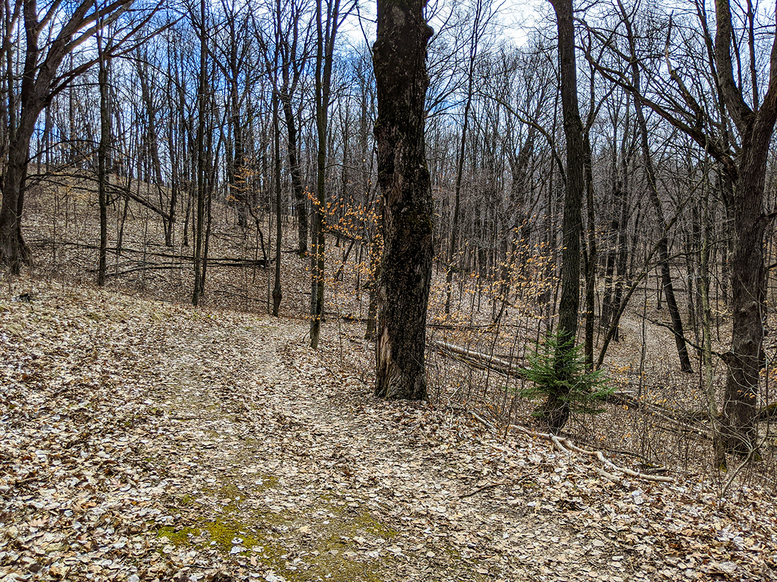 Hiking the New Fane Trails in the Northern Kettle Moraine