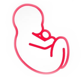 प्रेगनेंसी के चौथे महीने गर्भ में शिशु का विकास प्रेगनेंसी के चौथे महीने गर्भ में शिशु का विकास