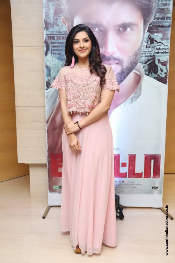 Mehreen Pirzada at Nota Movie Press Meet Stills