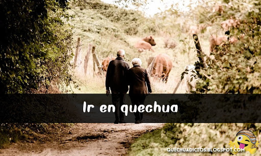 como se dice ir en quechua