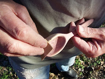 My husband's hands