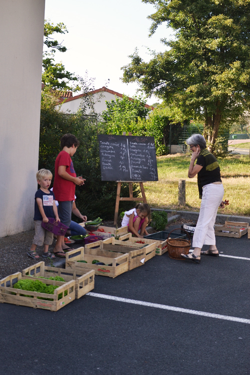 panier de légumes amap