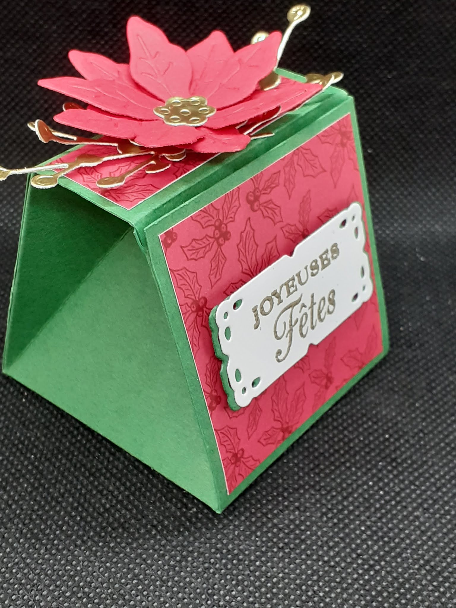 Pourquoi Mon Poinsettia Ne Rougit Pas Le Scrap Ewin: POINSETTIAS
