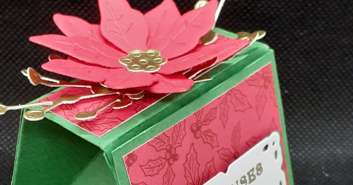 Pourquoi Mon Poinsettia Ne Rougit Pas Le Scrap Ewin: POINSETTIAS