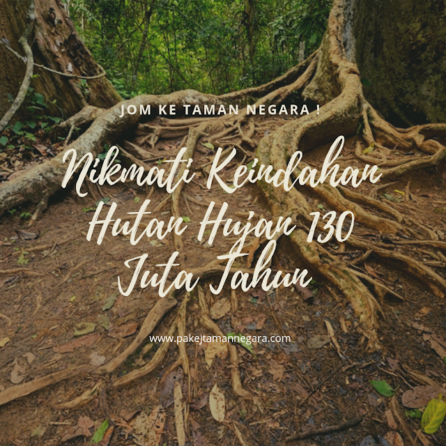 Pakej Taman Negara Pahang 2019 , Taman Negara Packages 2019 , Pakej Taman Negara 2019 , Jerantut , Kuala Tahan