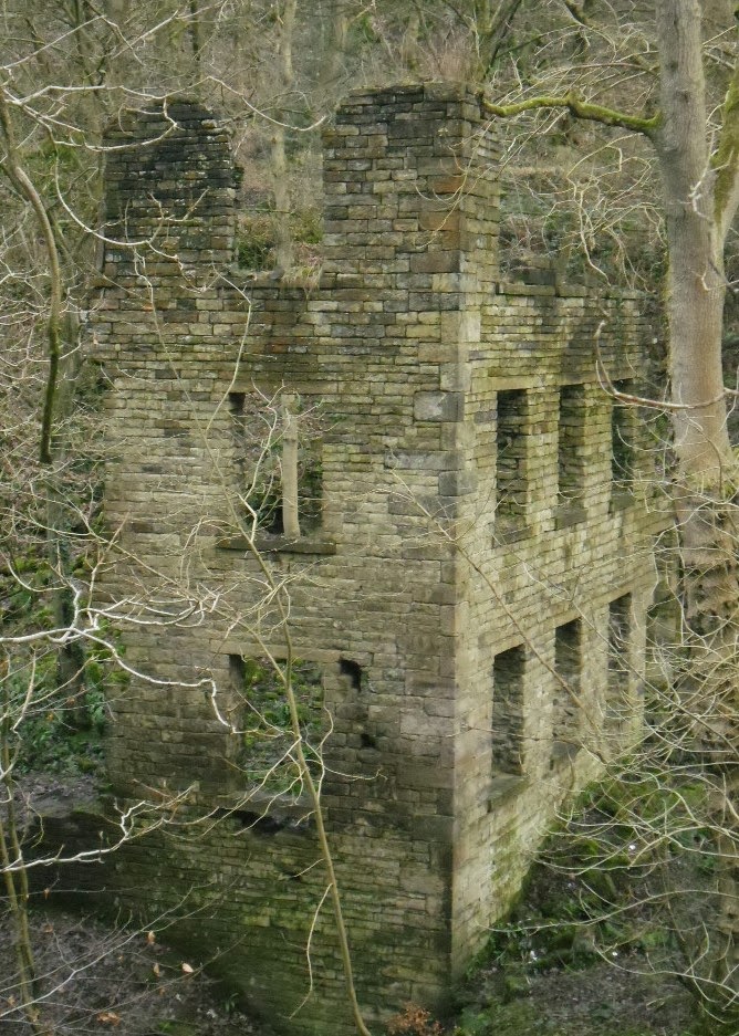 Pat Papertown 2 Carr Wood, near Ashworth Valley