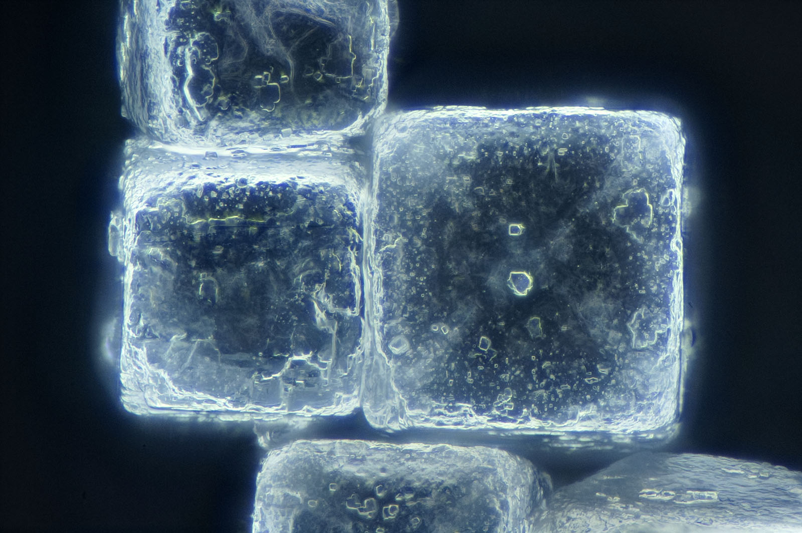 顕微鏡写真：砂糖と塩の暗視野観察
