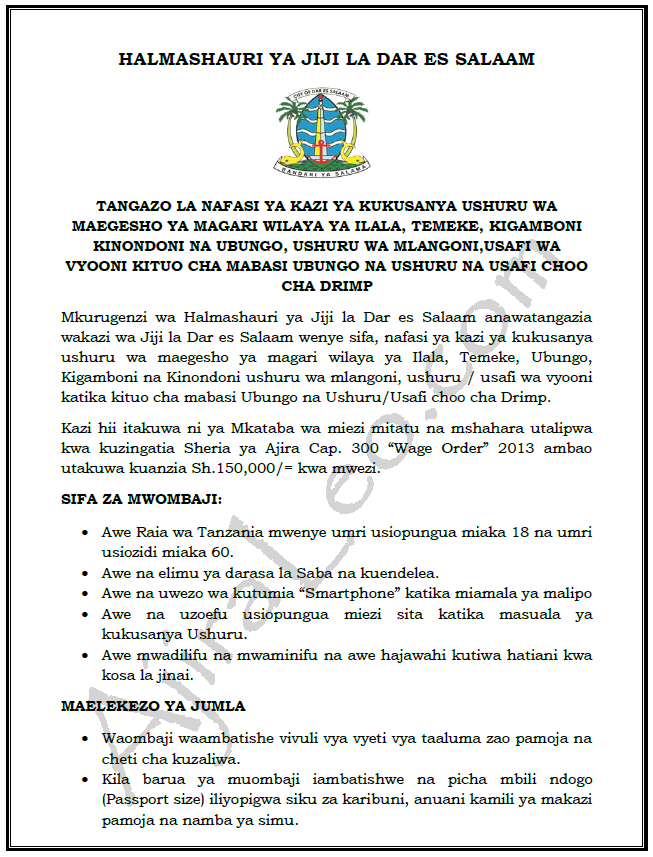 New Standard 7 Jobs at Dar es salaam City Council Deadline 25th July