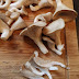 Mushroom spawn for sale │ mushroom contract farming company │ mushroom exporters │ production of mushroom │