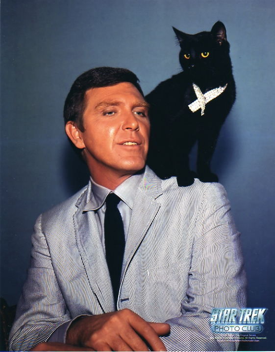 the-charmed-life-famous-black-cats-in-history