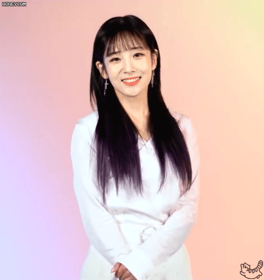 청초한 유지애