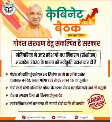 उतर प्रदेश में अब गौ ह्त्या करना गैर जमानती अपराध घोषित,10साल और 5लाख तक के जुर्माने का प्रावधान,योगी सरकार का फैसला.