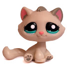 Littlest Pet Shop Multi Pack Kitten (#2079) Pet