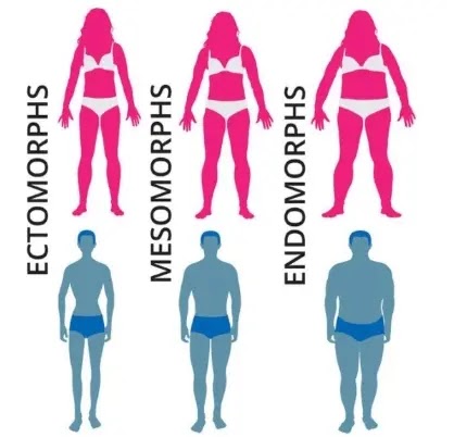 what morph body type am i? what morph body type am i?