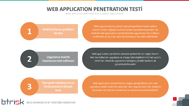 Web Application Pentestin Özellikleri