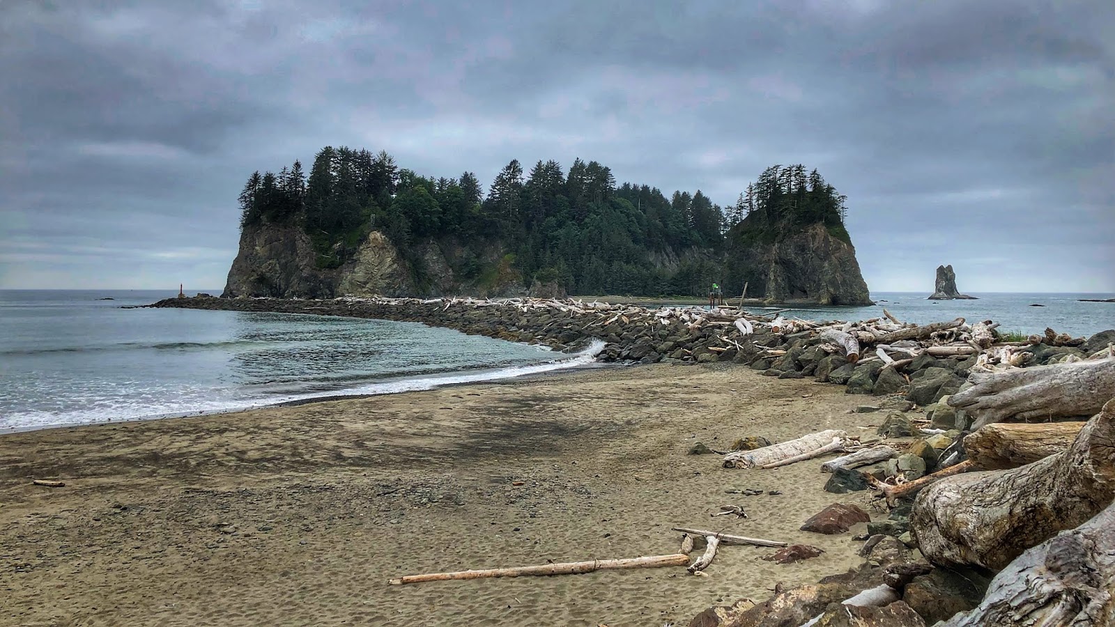 Over the Hill Sisters La Push, Hoh Rainforest, Forks, & Allens Bar