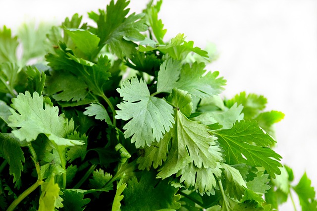 Parsley can help relieve these problems, know more