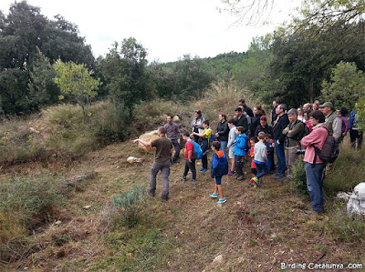 Observant l'estany que es va construir en una activitat anterior de l'associació CEN