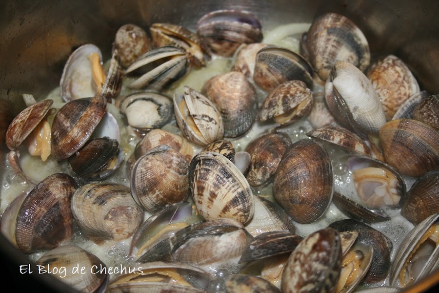 Almejas, chechus cupcakes, elblogdechechus