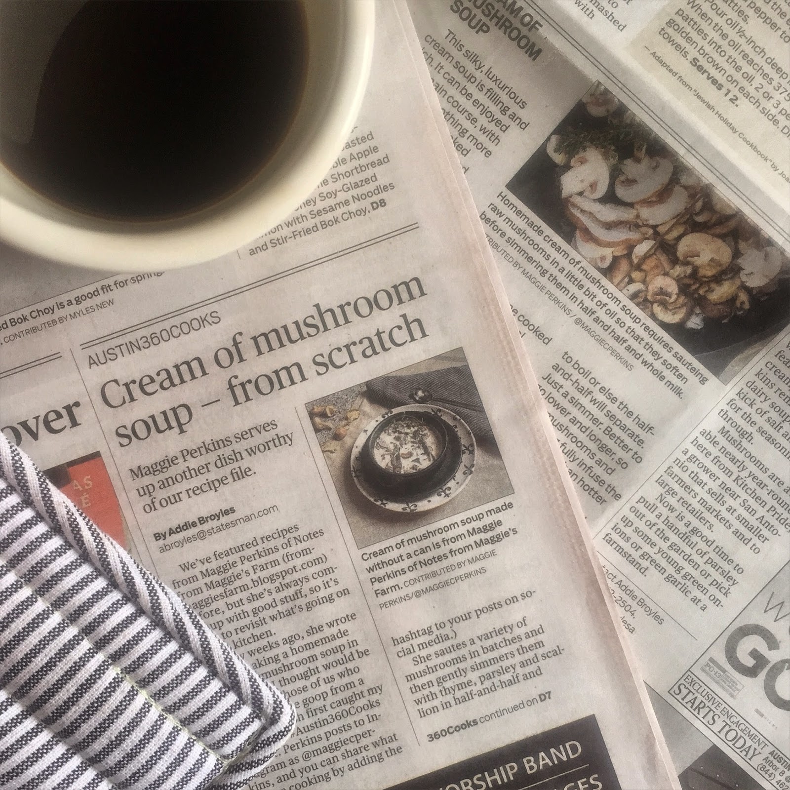 Notes from Maggie's Farm: Farmers' Market Favorite Cream of Mushroom Soup