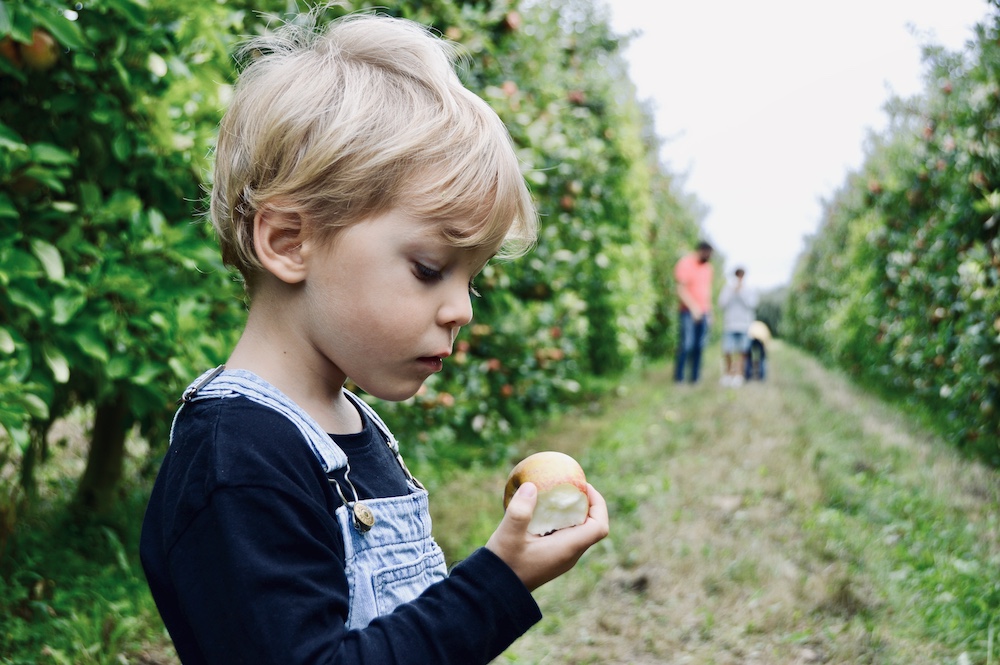 ENFANCE-VIVRE-DEHORS-NATURE-FAMILLE