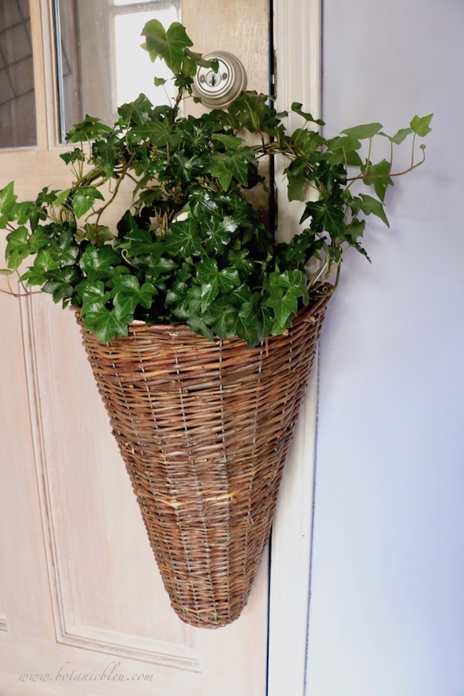 Fall Foyer decorated with ivy plants in a long wicker basket hanging on a door handle