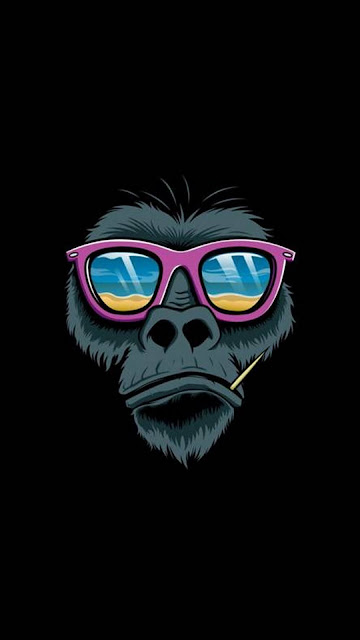 IPhone monkey wallpaper