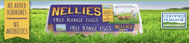 daytodaymoments egg giveaway