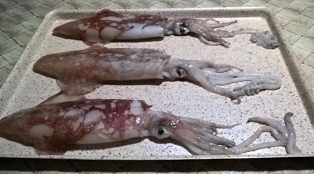 Calamari di Rimini