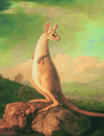 The Kongouro from New Holland by George Stubbs, 1772