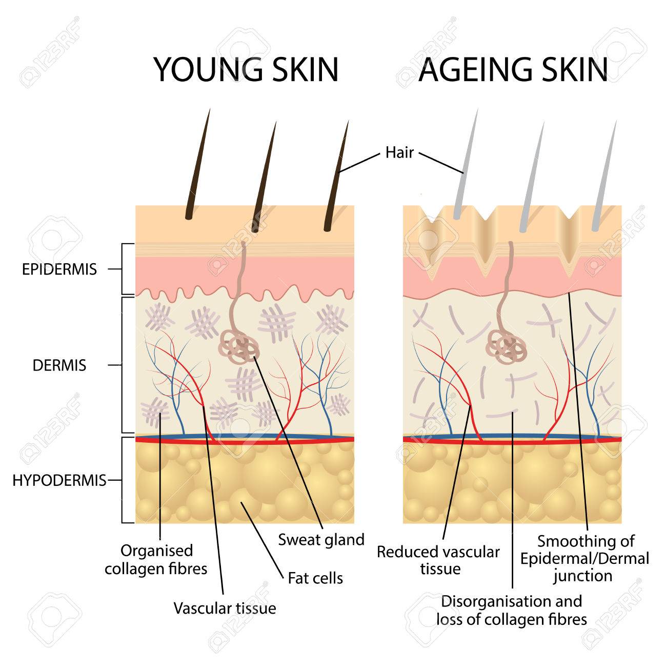 Beauty | Beauty Tips | Healthy Skin | Fashion love | Fashion Love