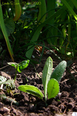 Grounded - Photography by Linda S. Leon for the ARTiSHOcK project on https://tussendelijntjes.blogspot.com