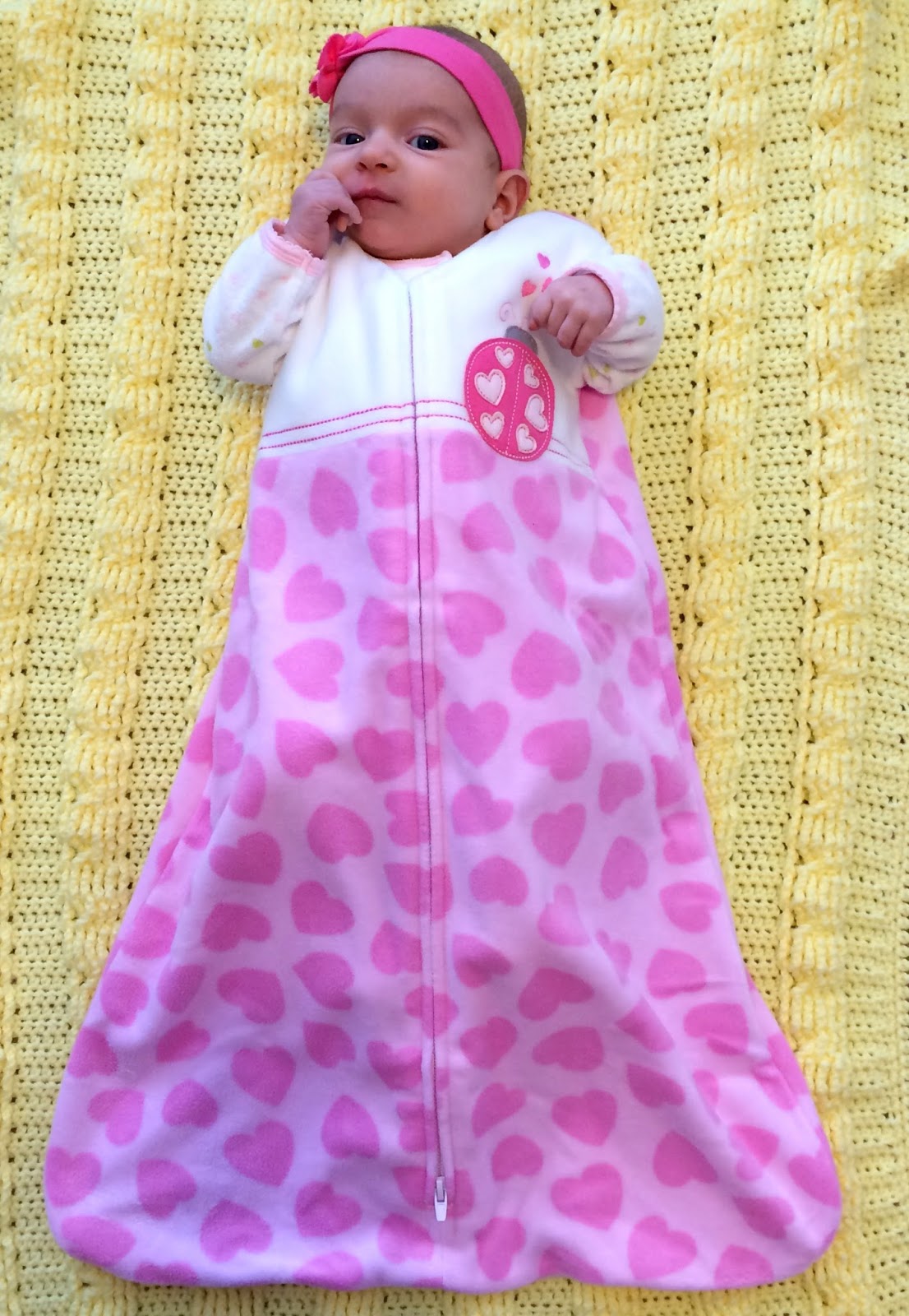 Product Review Halo Sleepsack Wearable Blanket