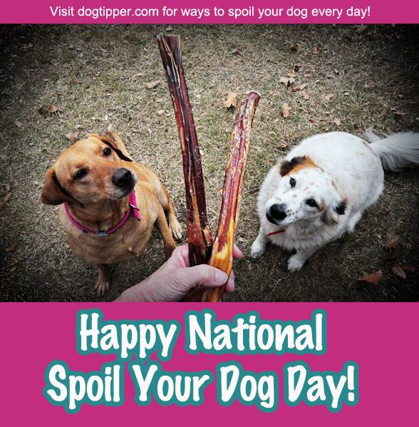 National Spoil Your Dog Day National Spoil Your Dog Day