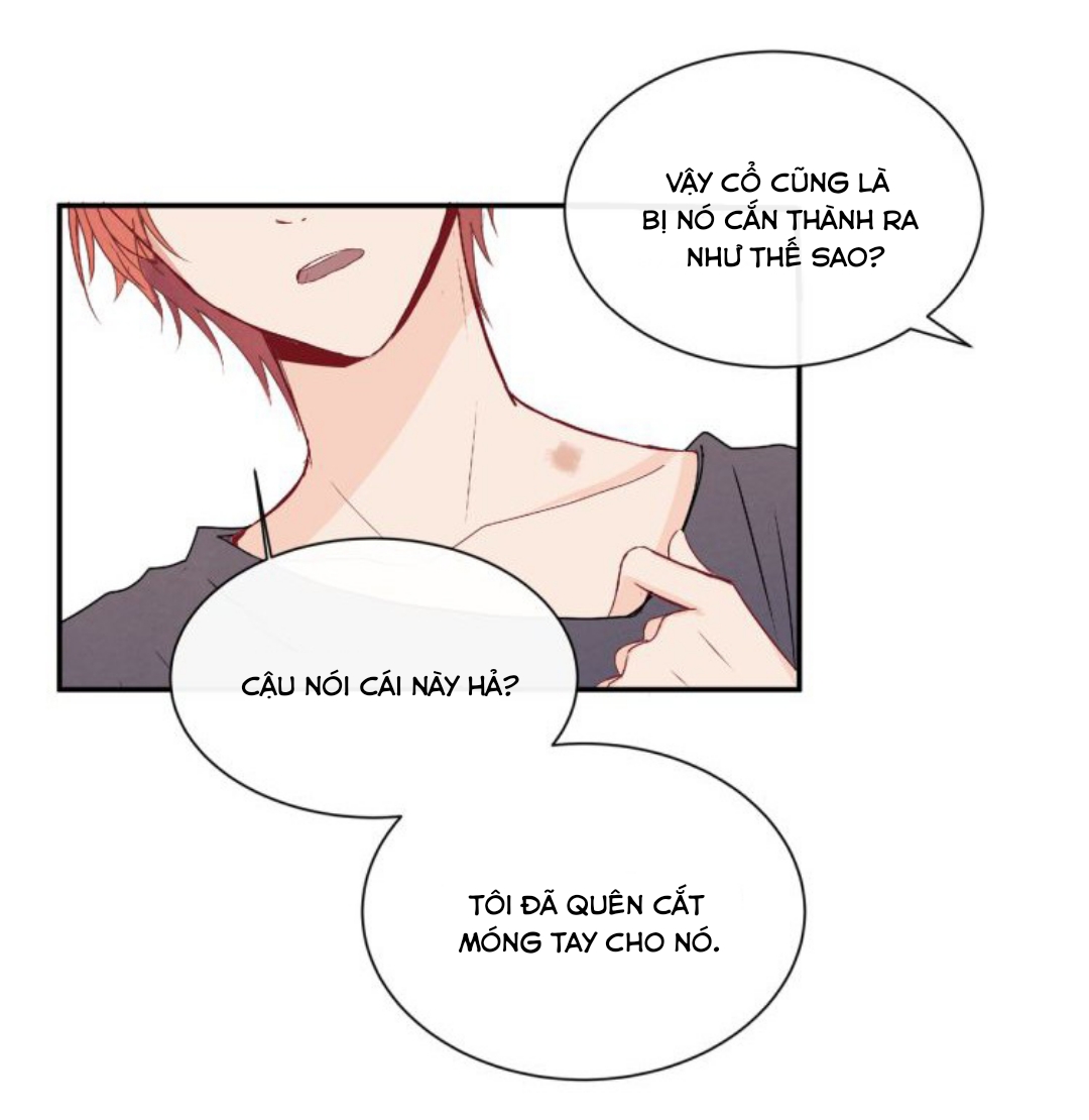 Đọc truyện Vết rượu ngọt ngào - Chapter 11