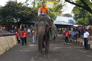 Kebun Binatang Ragunan Di Jakarta