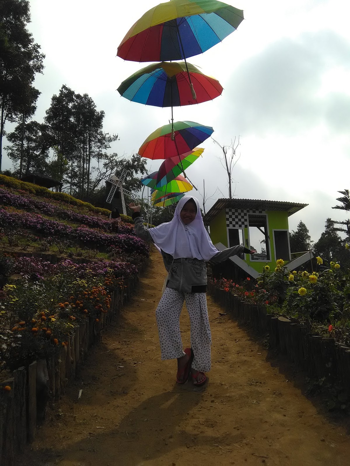 Rainbow Garden Kutabawa Lasmicika