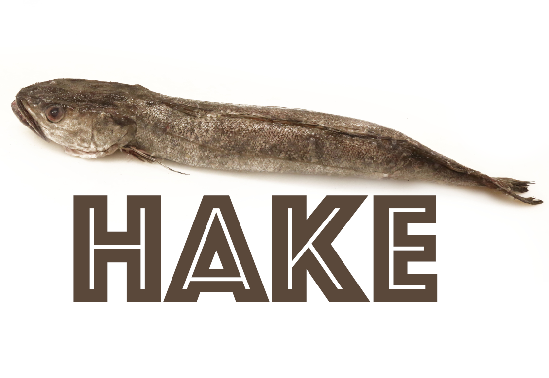 Food Reporter UK Highlighting the fabulous world of fresh food Fish