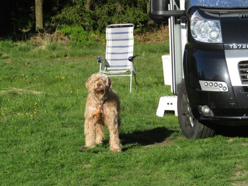 Antwerp Motorhome Moezel