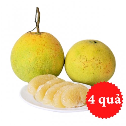 Bưởi Phúc Trạch (Hộp 4 Quả – Size 0,8-1,2kg/quả)