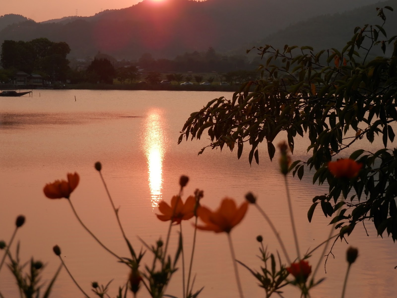 森林を守るバナナくらぶ 京都 五山送り火 初盆