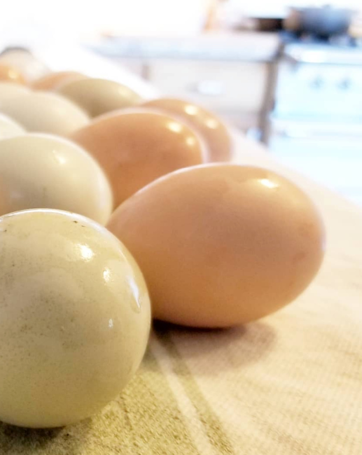 Should I Wash my Chicken Eggs? Fresh Eggs Daily®