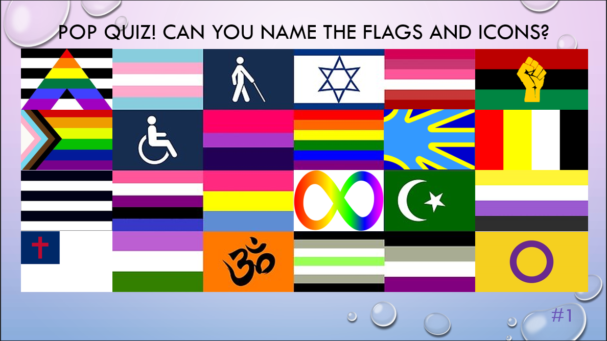 MillenniaLibrarian: YAAS: Diversity and Inclusion in the Real World