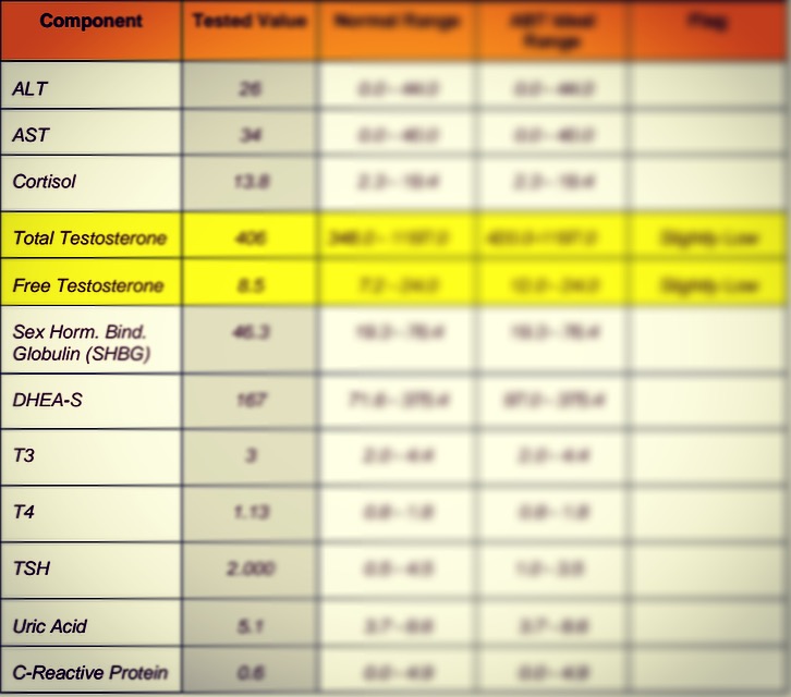 Triathlon Tips Athlete Blood Testing Blood Work Test Results for