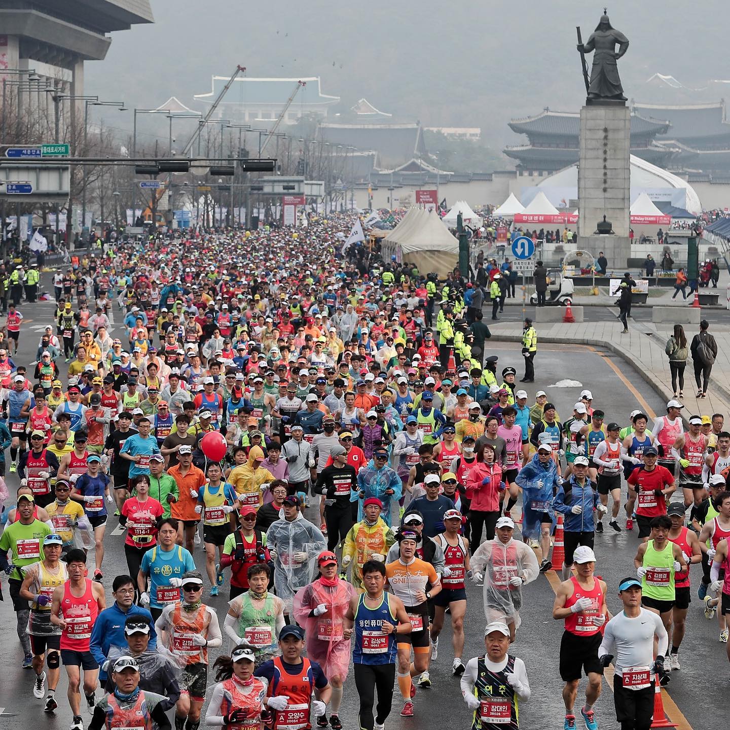 Sugoi Days 5 Iconic Marathons in South Korea to Start Planning Your